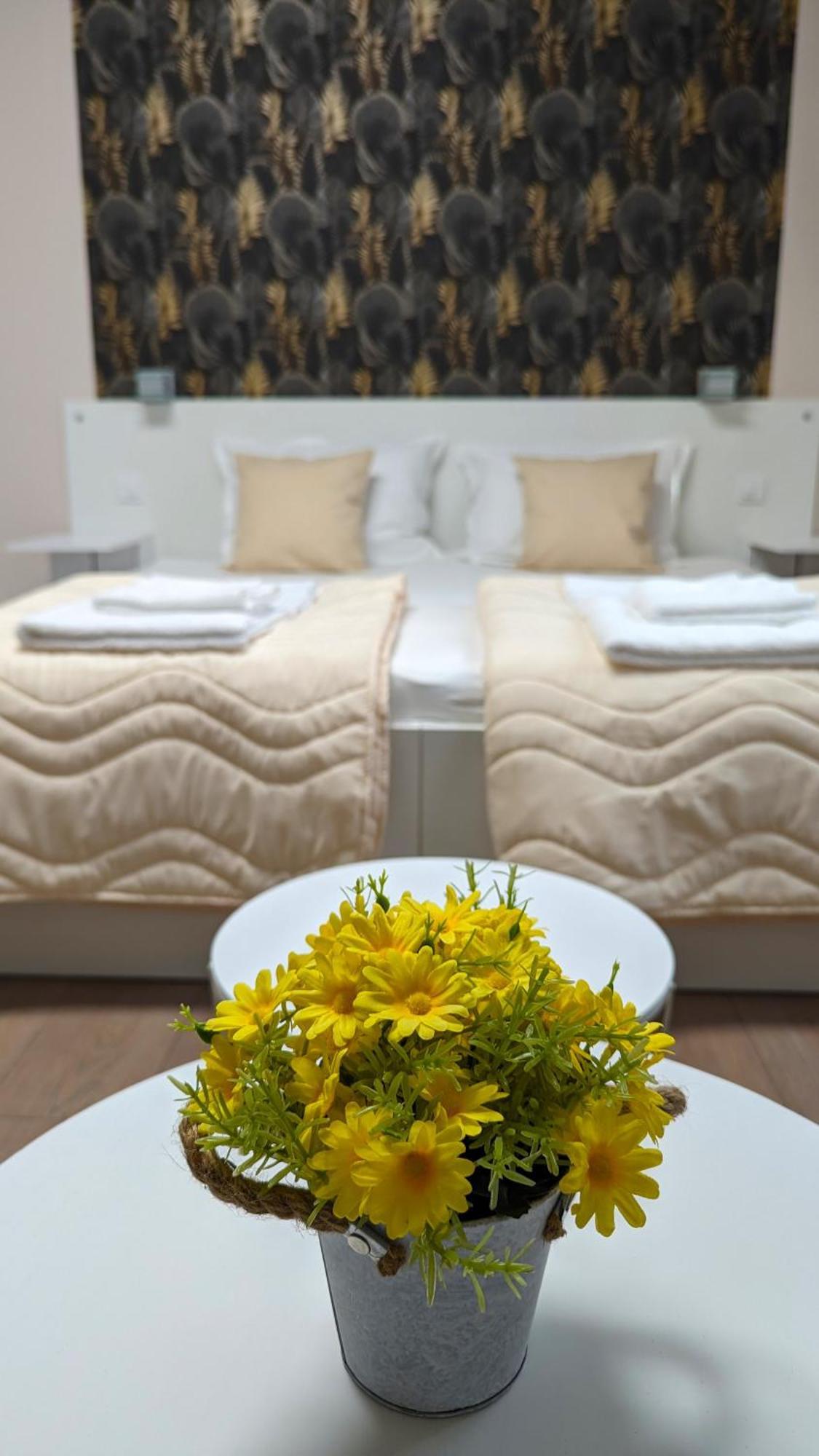 Apartmani Tomic Kladovo Extérieur photo